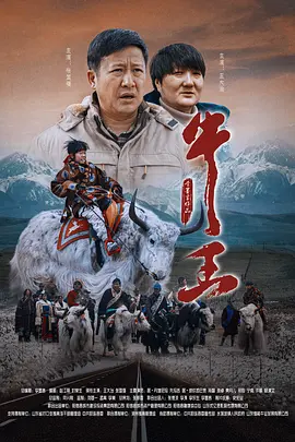北京瑶瑶