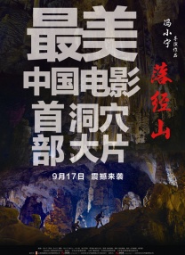 成人a毛片视频免费看