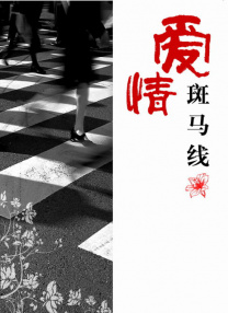 显示器dvi接口