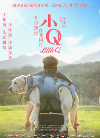 情侣爱爱高清视频