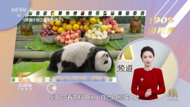 联合早报网中文南略网